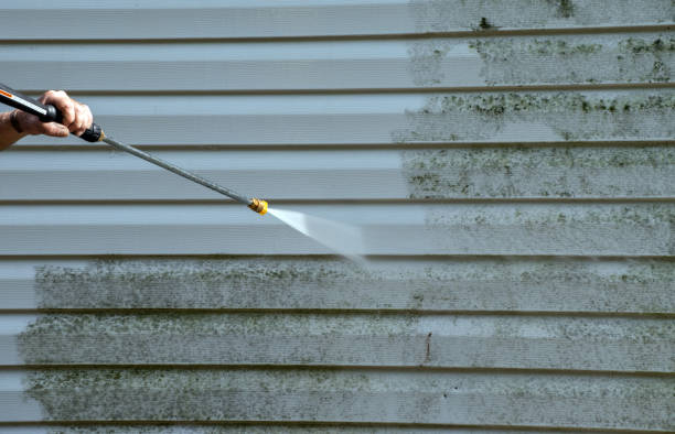 Best Commercial Building Pressure Washing  in Ida Grove, IA