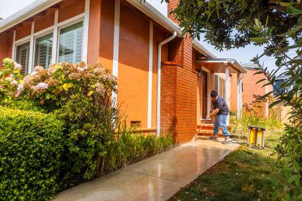 Best Deck Cleaning Services  in Ida Grove, IA