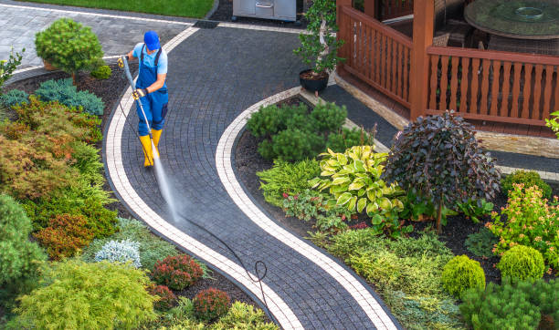 Best Fence Pressure Washing  in Ida Grove, IA